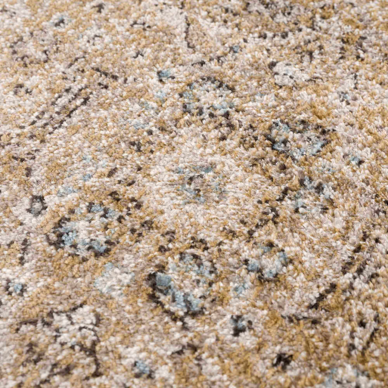 Anana Gold & Beige Area Rug - Clearance by Boutique Rugs