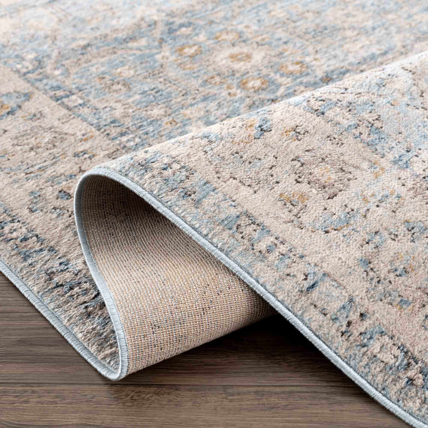 Anana Silver Blue & Beige Area Rug by Hauteloom