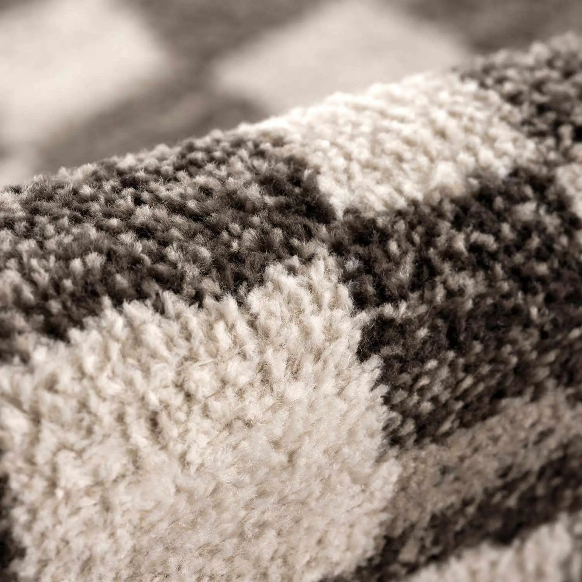 Benjy Cream & Charcoal Checkered Area Rug by Hauteloom