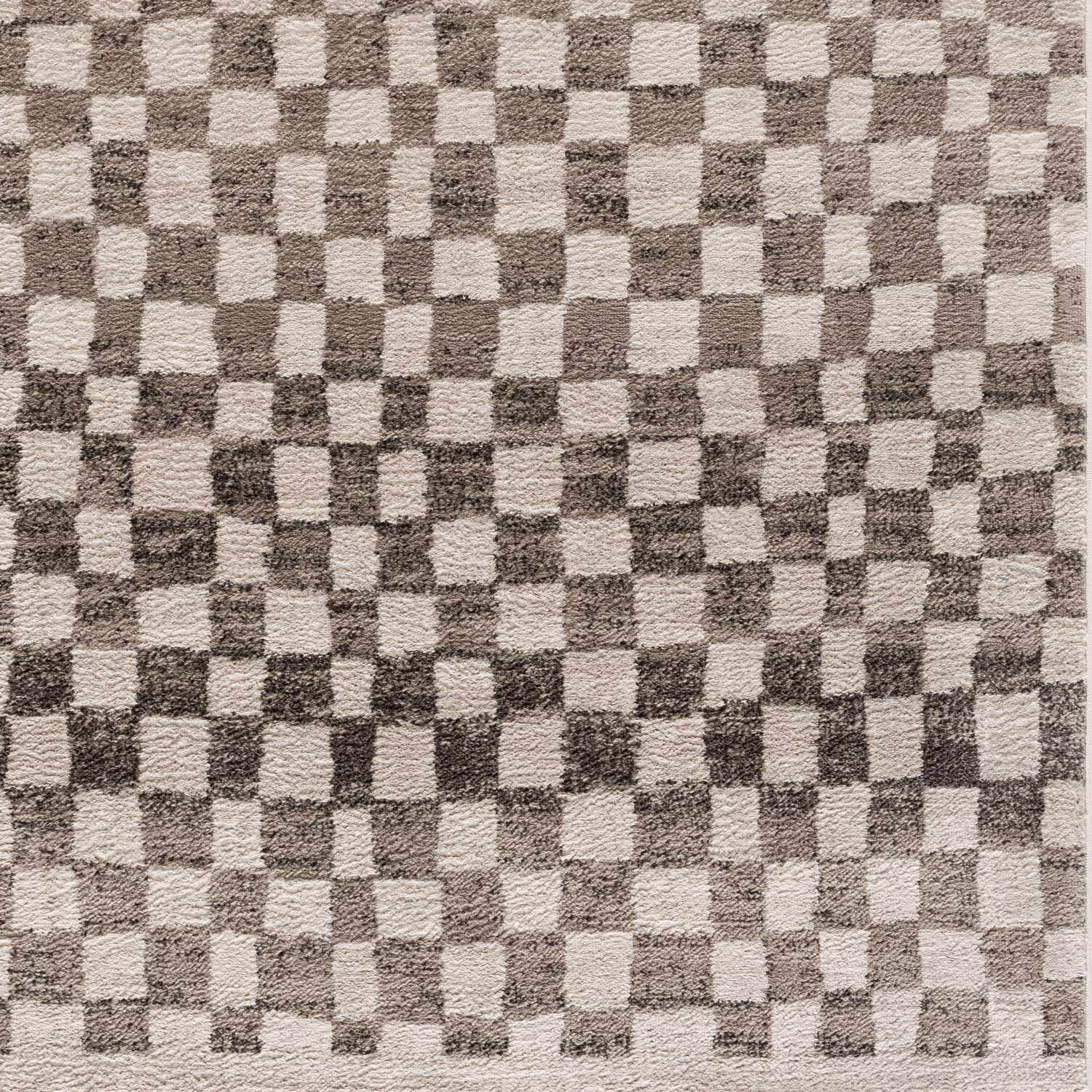 Benjy Cream & Charcoal Checkered Area Rug by Hauteloom