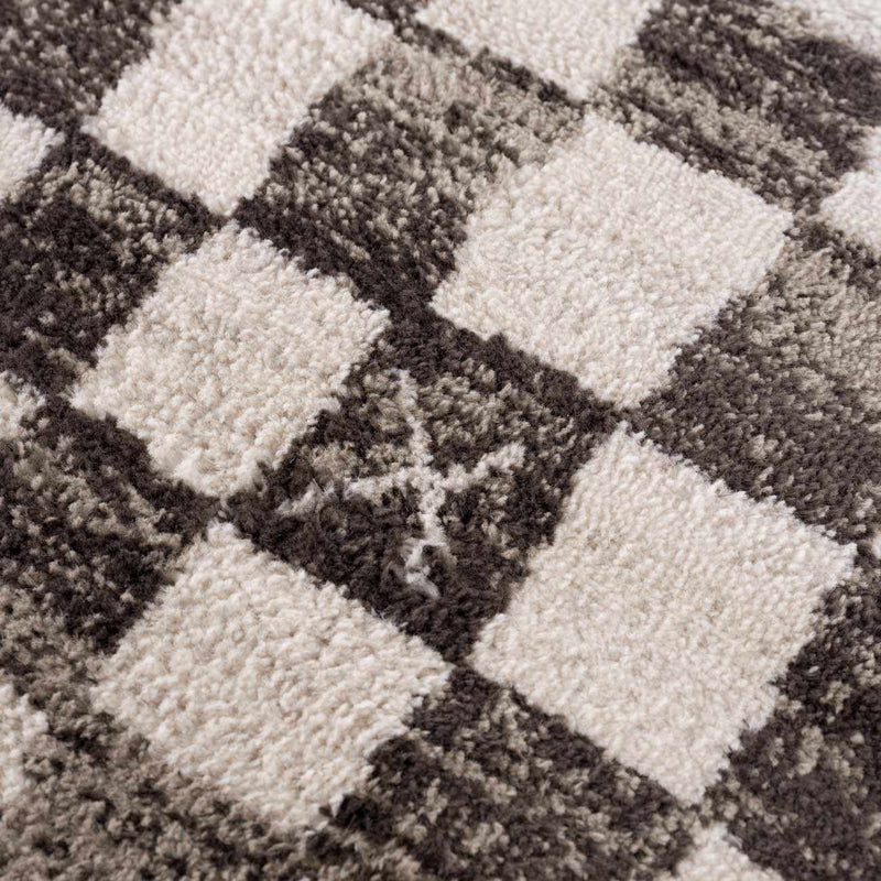 Benjy Cream & Charcoal Checkered Area Rug by Boutique Rugs