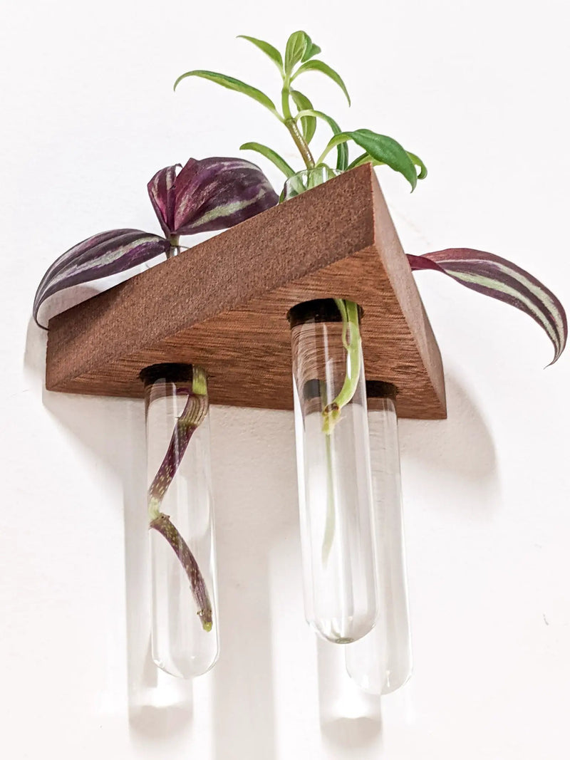Triangle Propagation Station Shelf for Plant Cuttings by NookWoodworking