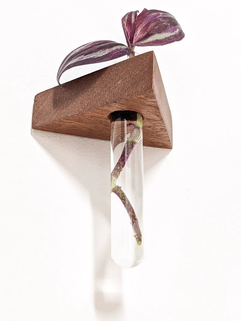 Triangle Propagation Station Shelf for Plant Cuttings by NookWoodworking