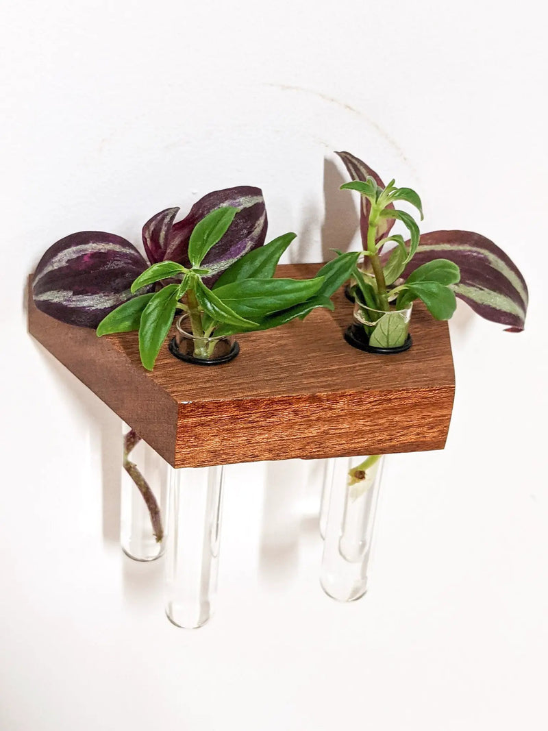 Trapezoid Propagation Station Shelf for Plant Cuttings by NookWoodworking
