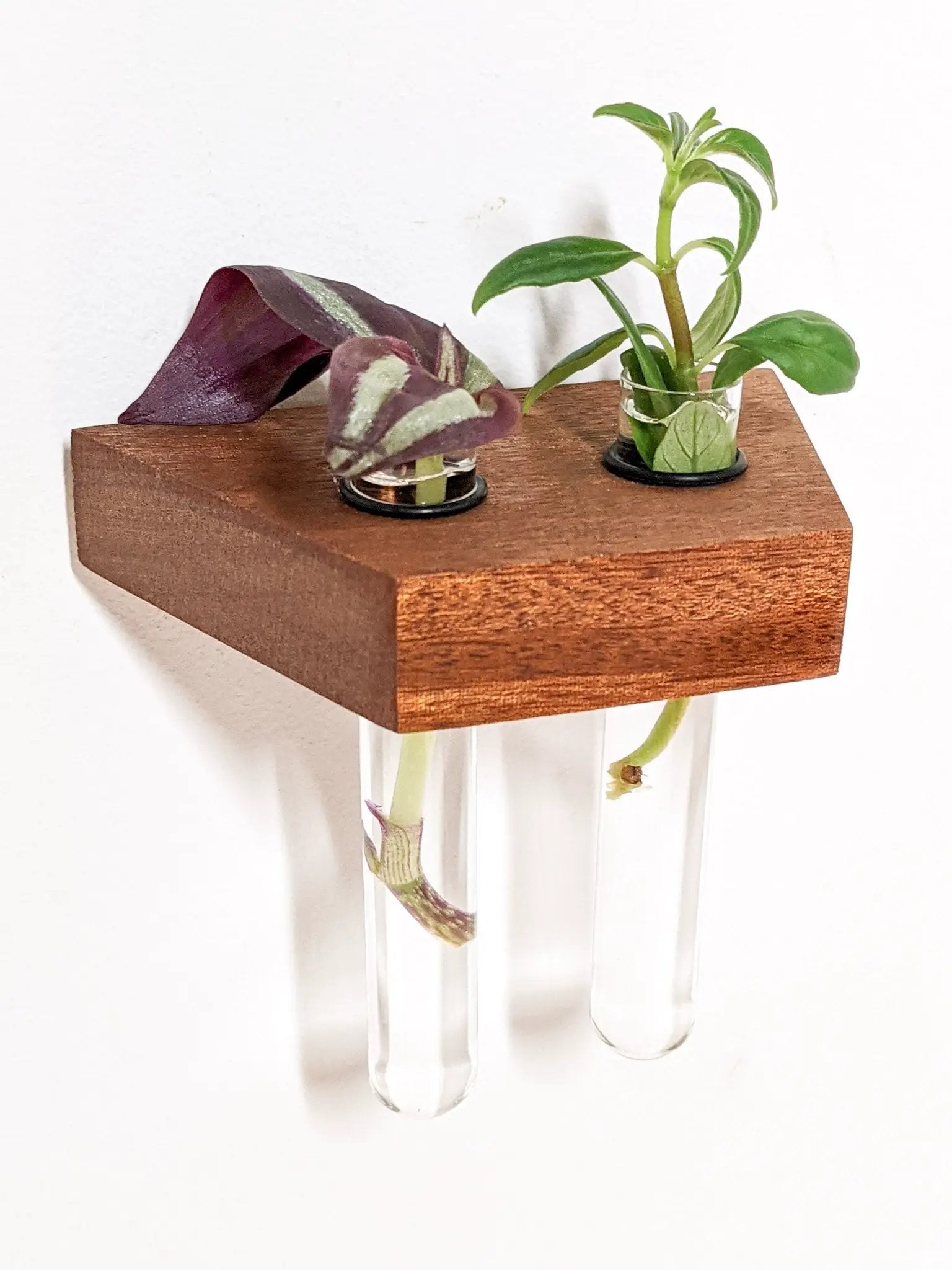 Trapezoid Propagation Station Shelf for Plant Cuttings by NookWoodworking