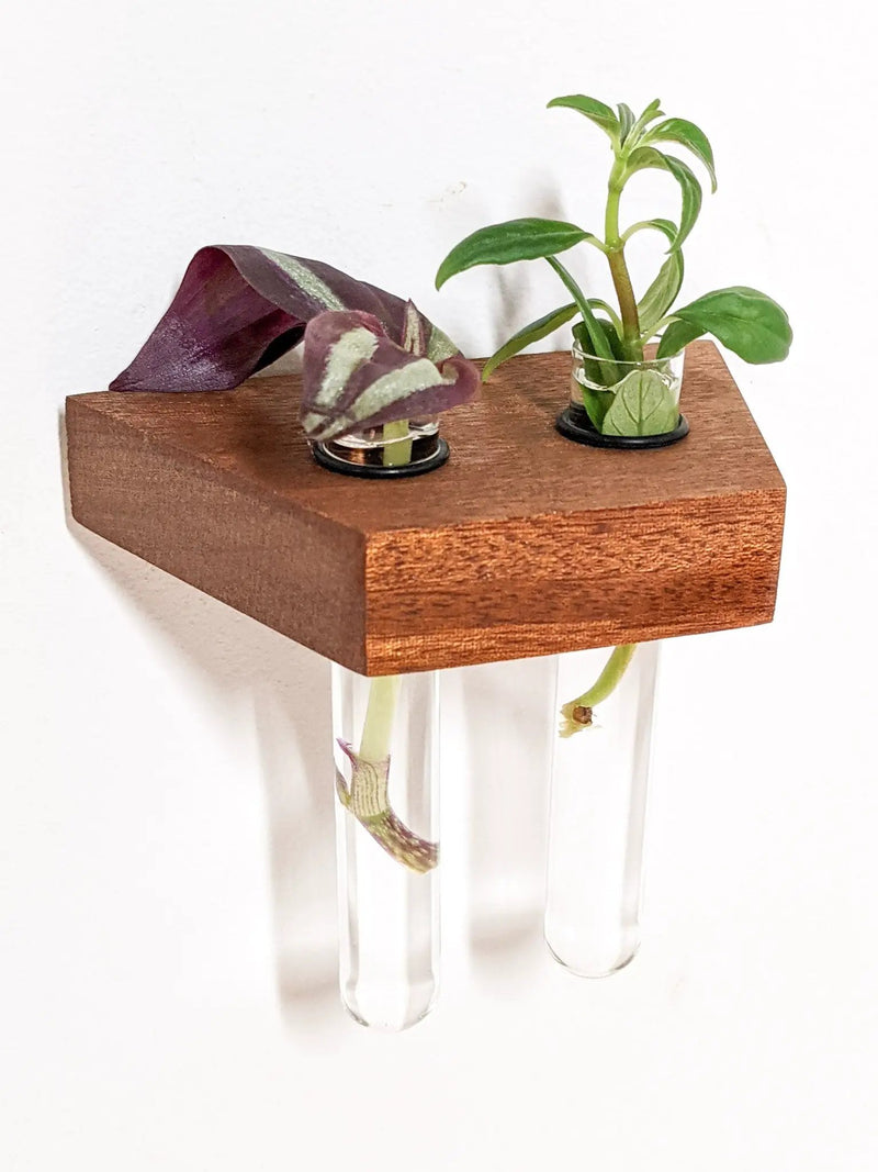Trapezoid Propagation Station Shelf for Plant Cuttings by NookWoodworking