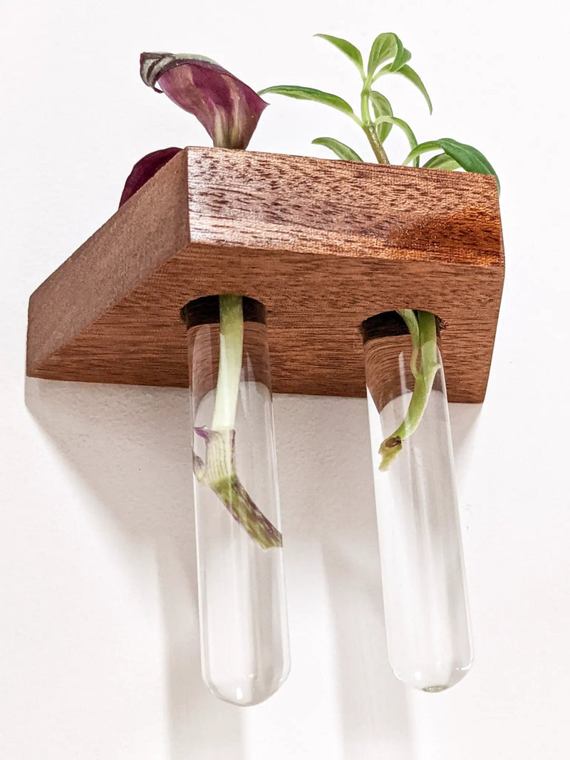 Trapezoid Propagation Station Shelf for Plant Cuttings by NookWoodworking