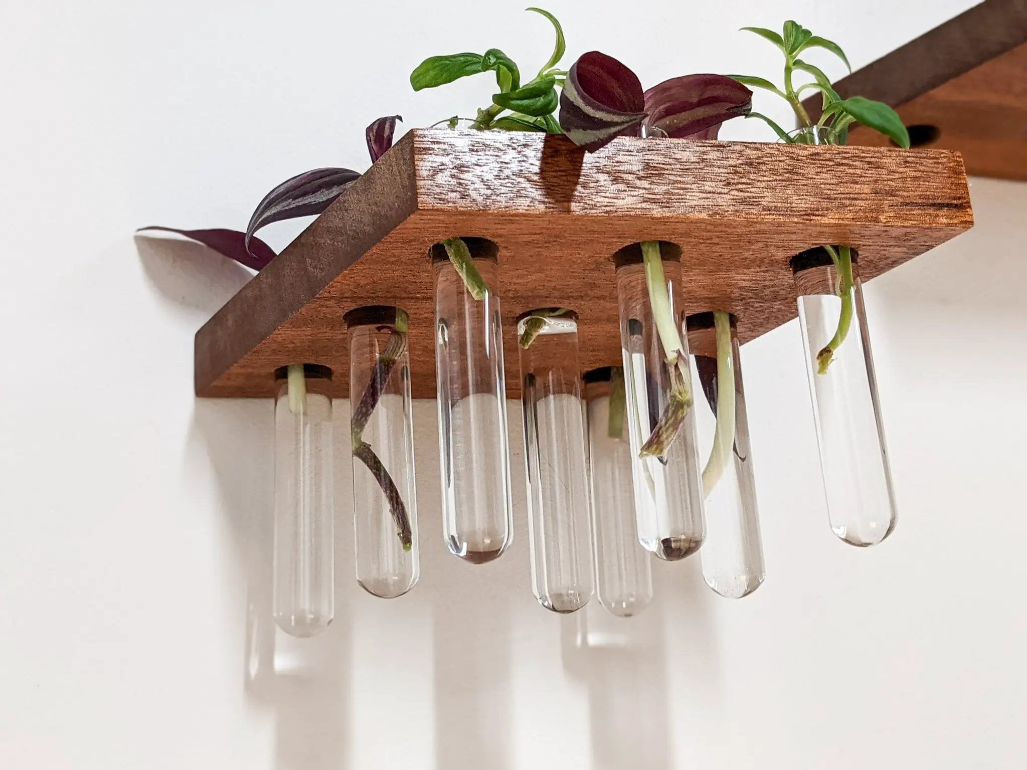 Rhombus Propagation Station Shelf for Plant Cuttings by NookWoodworking