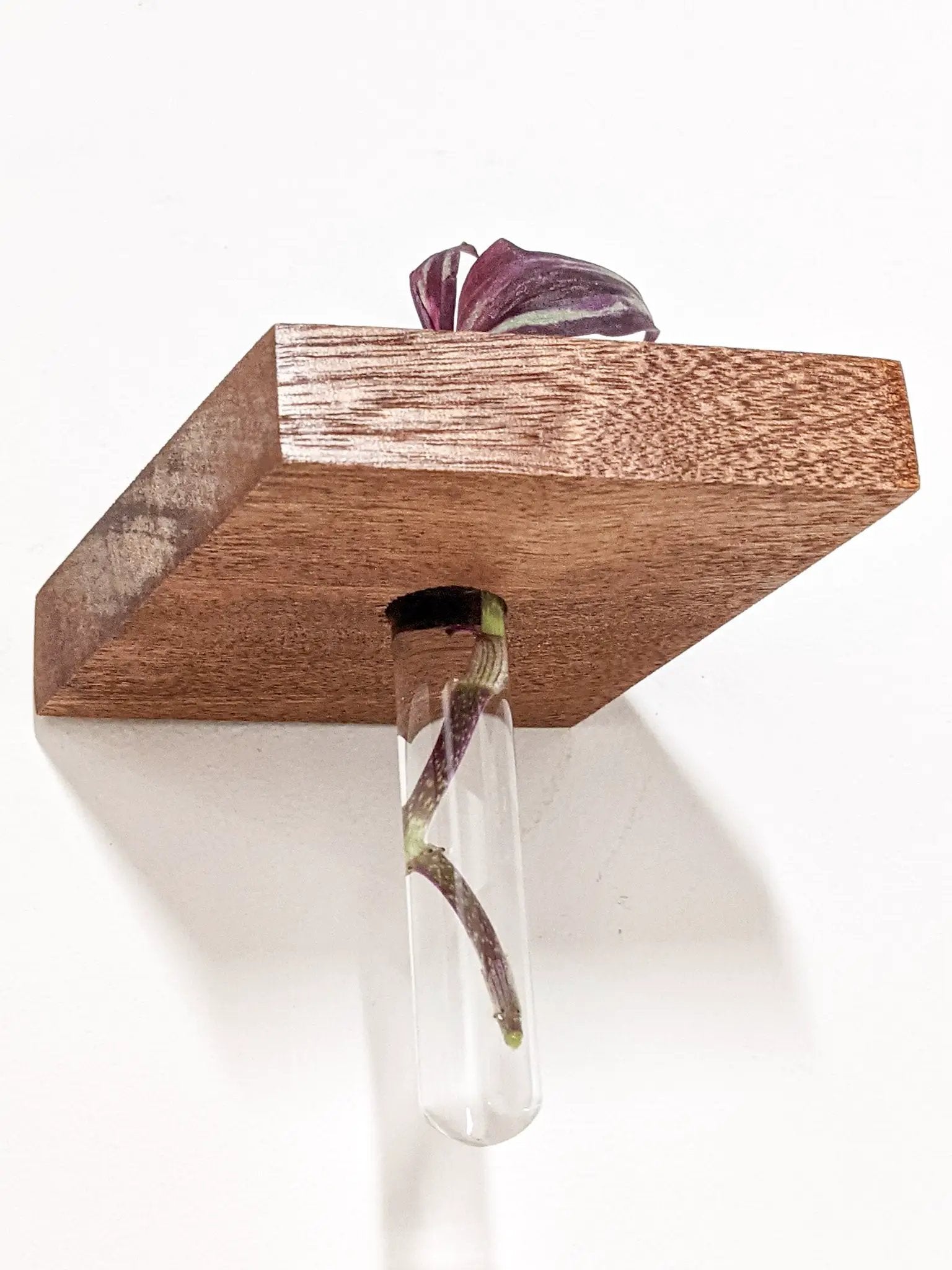 Rhombus Propagation Station Shelf for Plant Cuttings by NookWoodworking