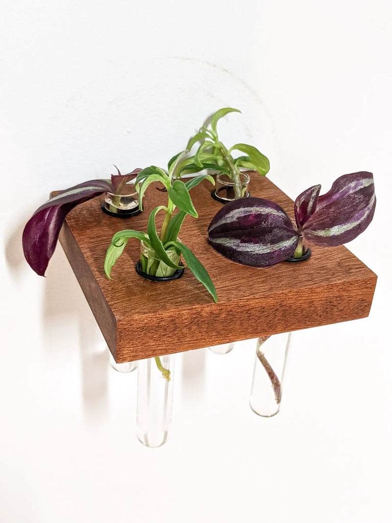 Square Propagation Station Shelf for Plant Cuttings by NookWoodworking