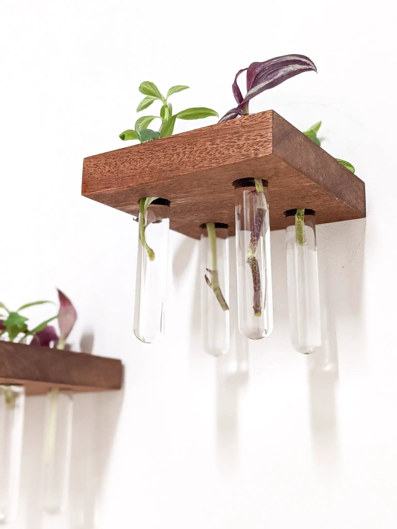 Square Propagation Station Shelf for Plant Cuttings by NookWoodworking