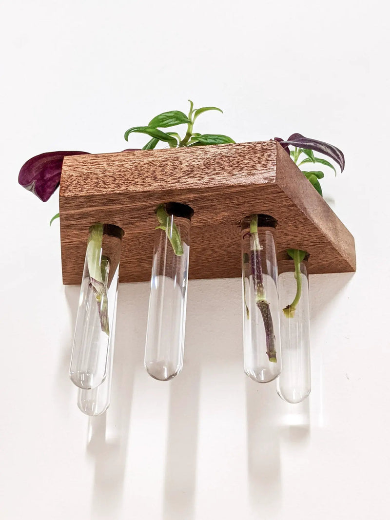 Trapezoid Propagation Station Shelf for Plant Cuttings by NookWoodworking