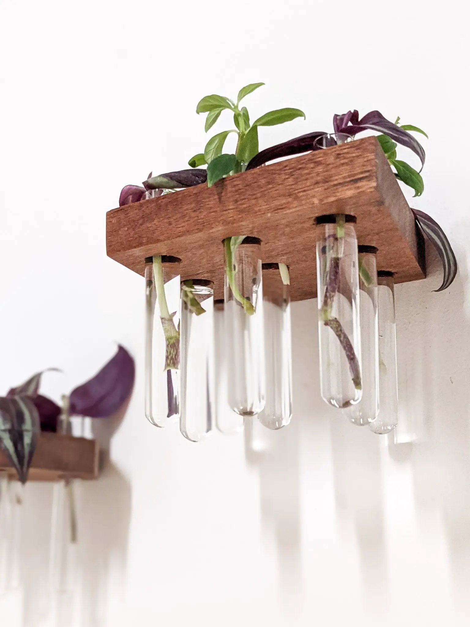 Rhombus Propagation Station Shelf for Plant Cuttings by NookWoodworking