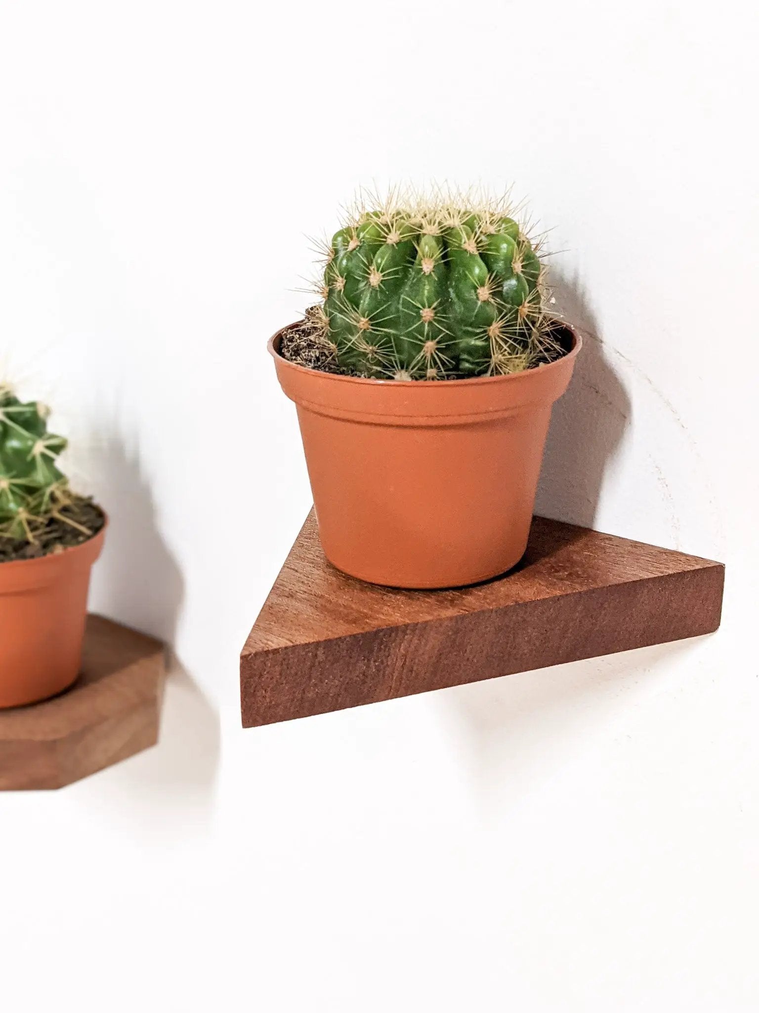Small Triangle Display Shelf in Mahogany by NookWoodworking