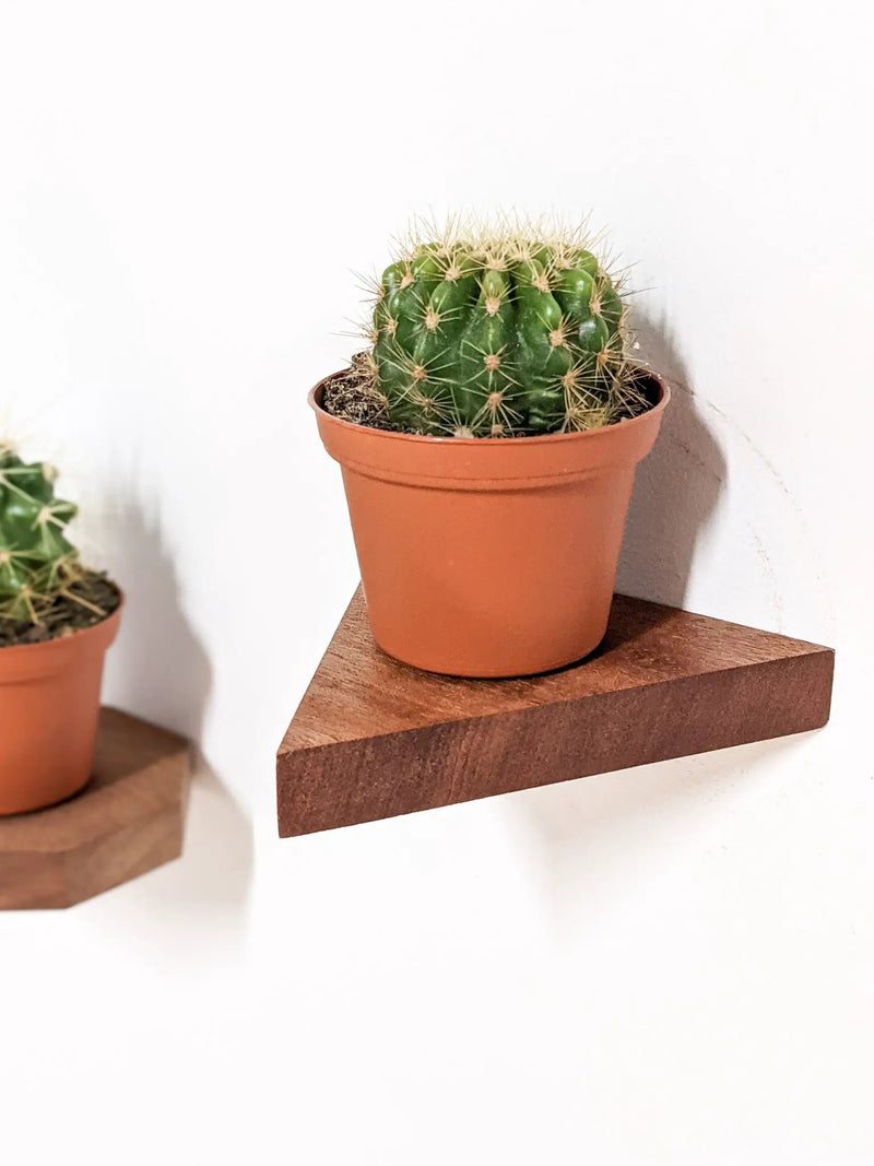 Small Triangle Display Shelf in Oak by NookWoodworking