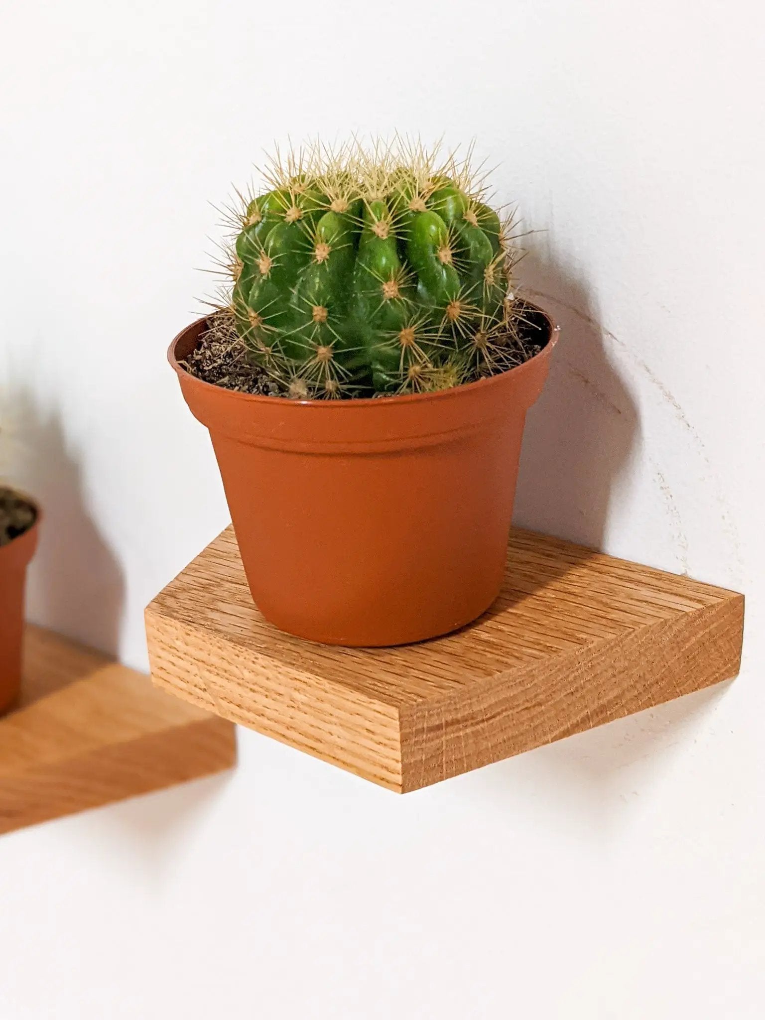 Small Trapezoid Display Shelf in Oak by NookWoodworking