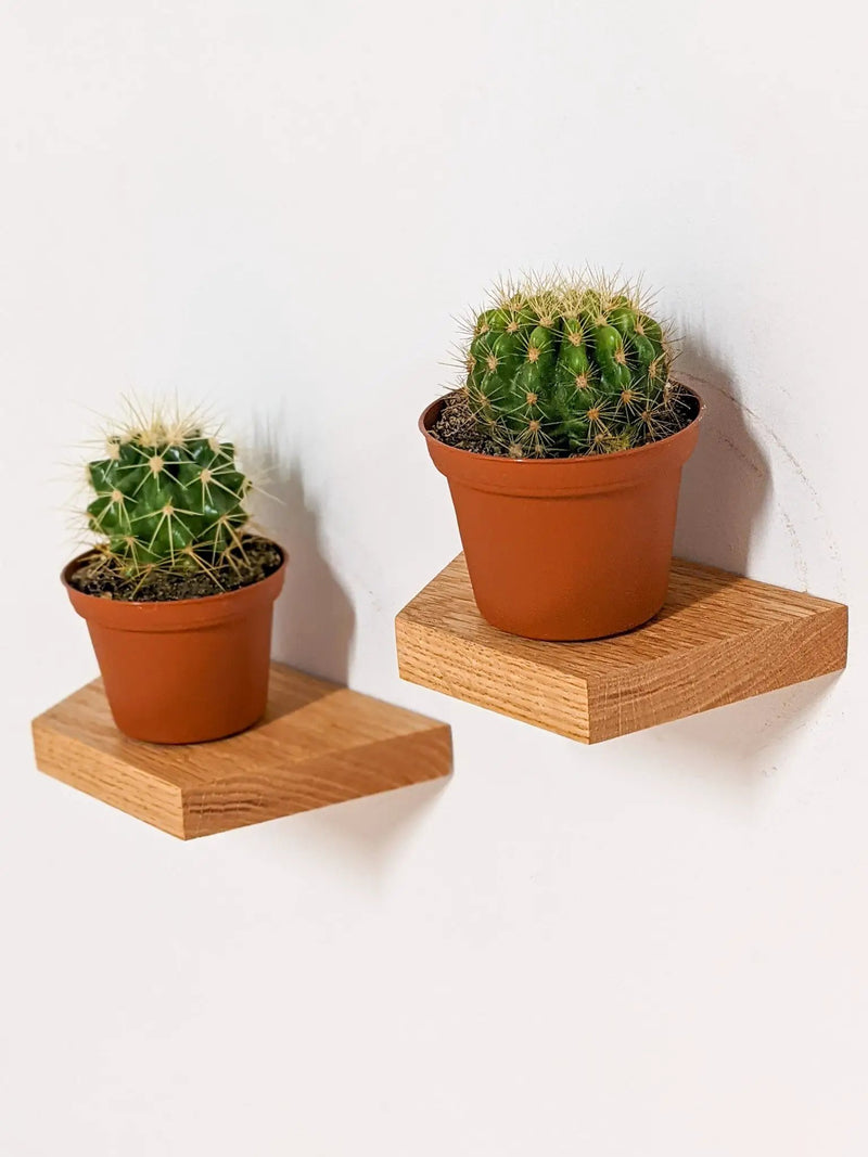 Small Trapezoid Display Shelf in Oak by NookWoodworking