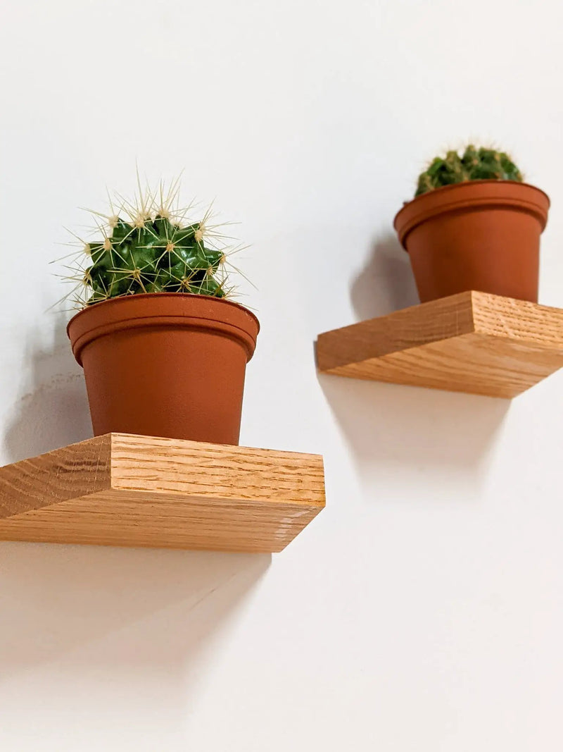 Small Trapezoid Display Shelf in Mahogany by NookWoodworking