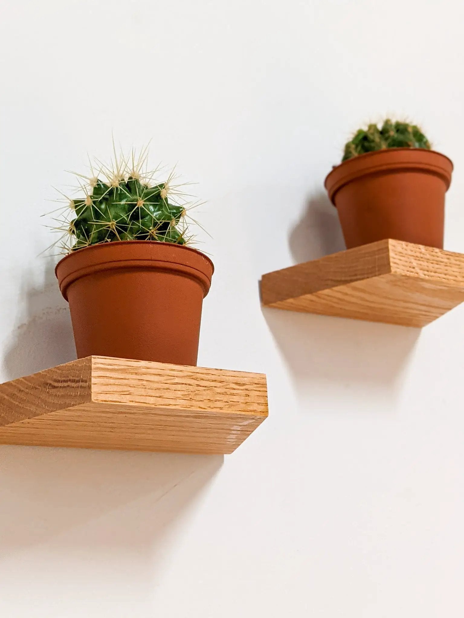 Small Trapezoid Display Shelf in Oak by NookWoodworking