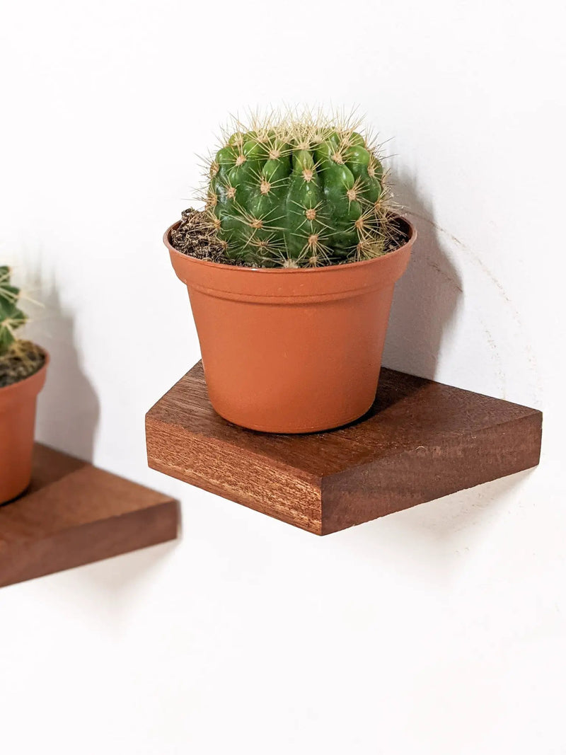 Small Floating Shelf Set by NookWoodworking