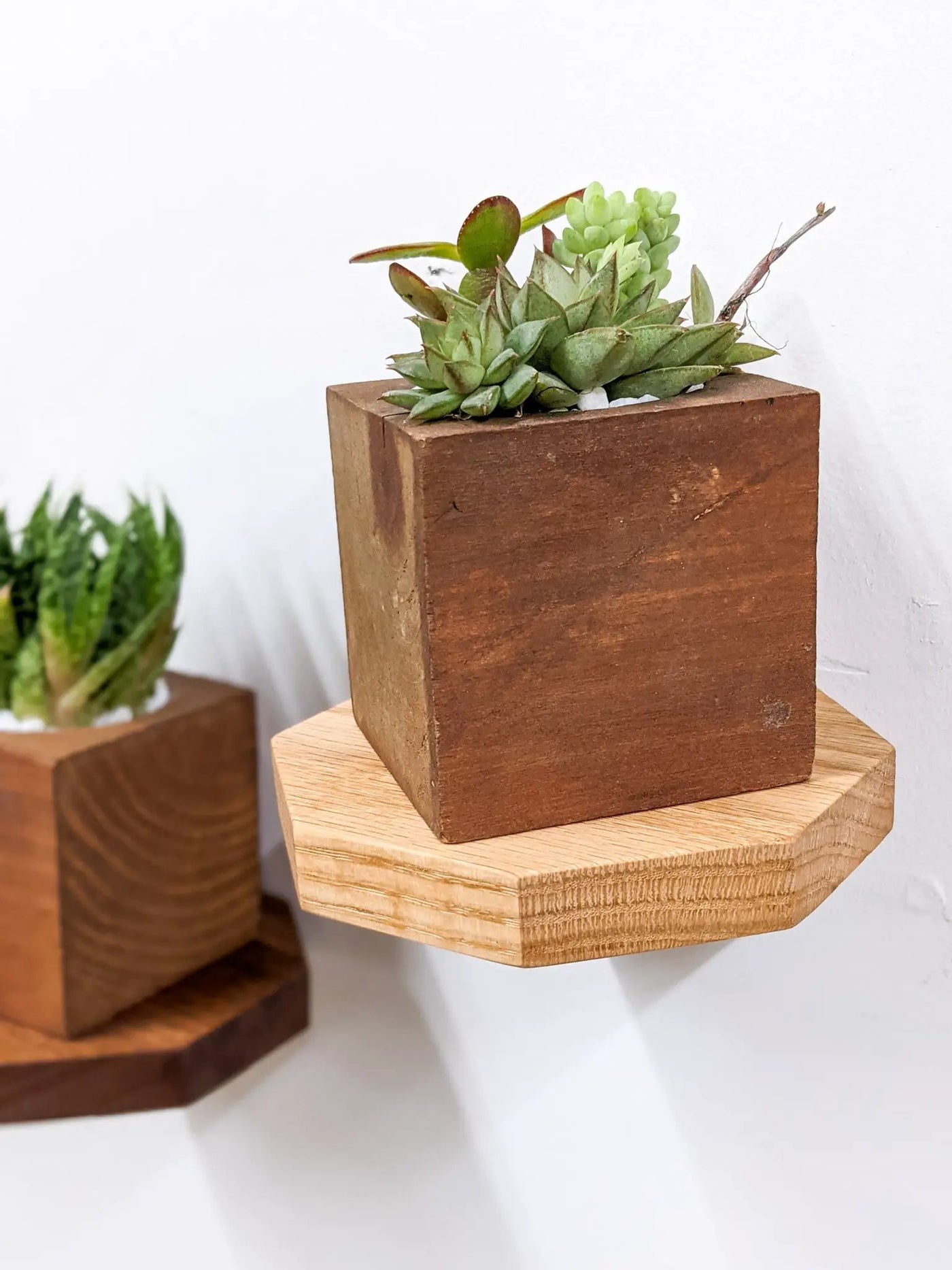 Small Octagon Display Shelf in Mahogany by NookWoodworking