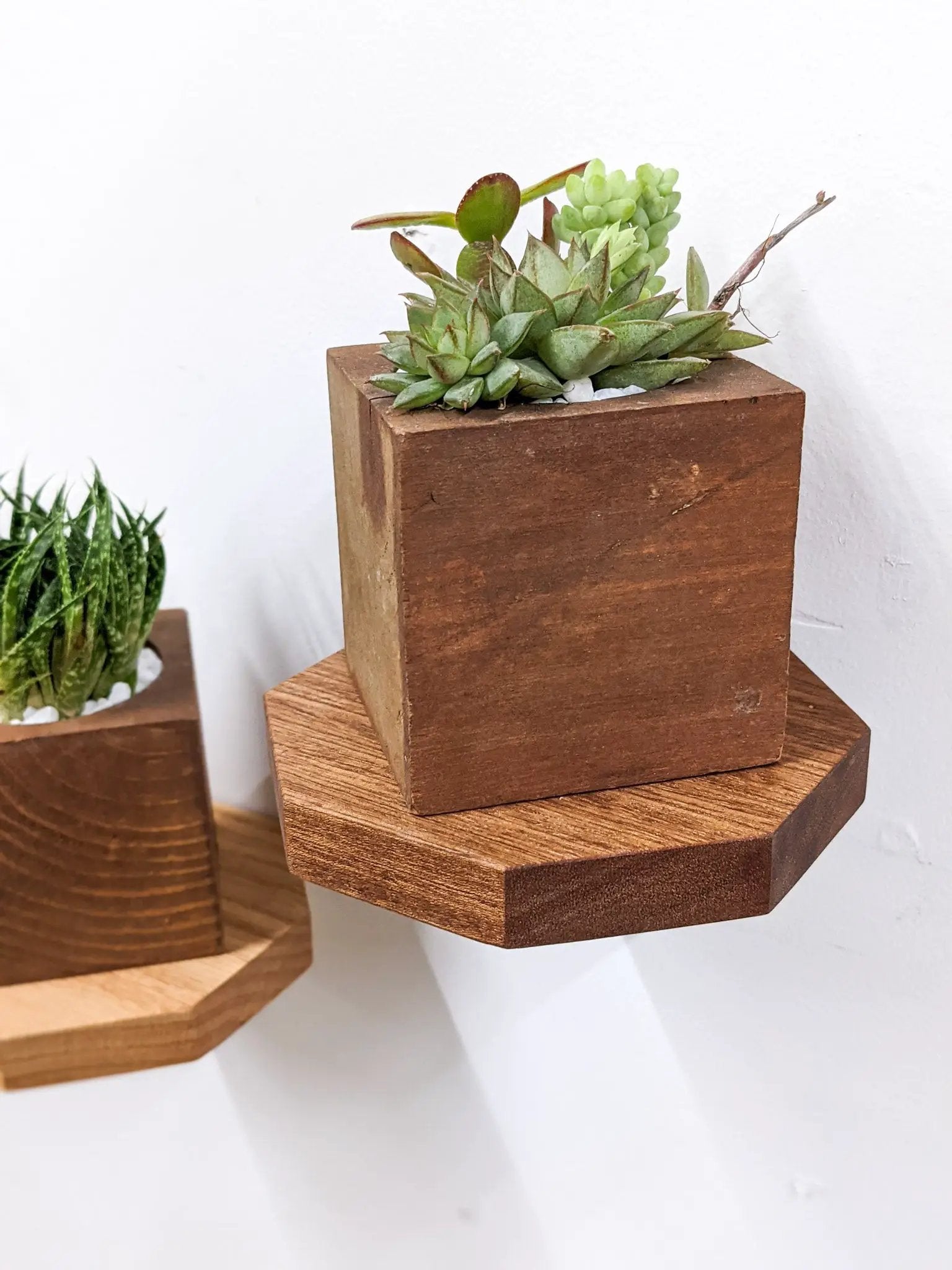 Small Octagon Display Shelf in Oak by NookWoodworking
