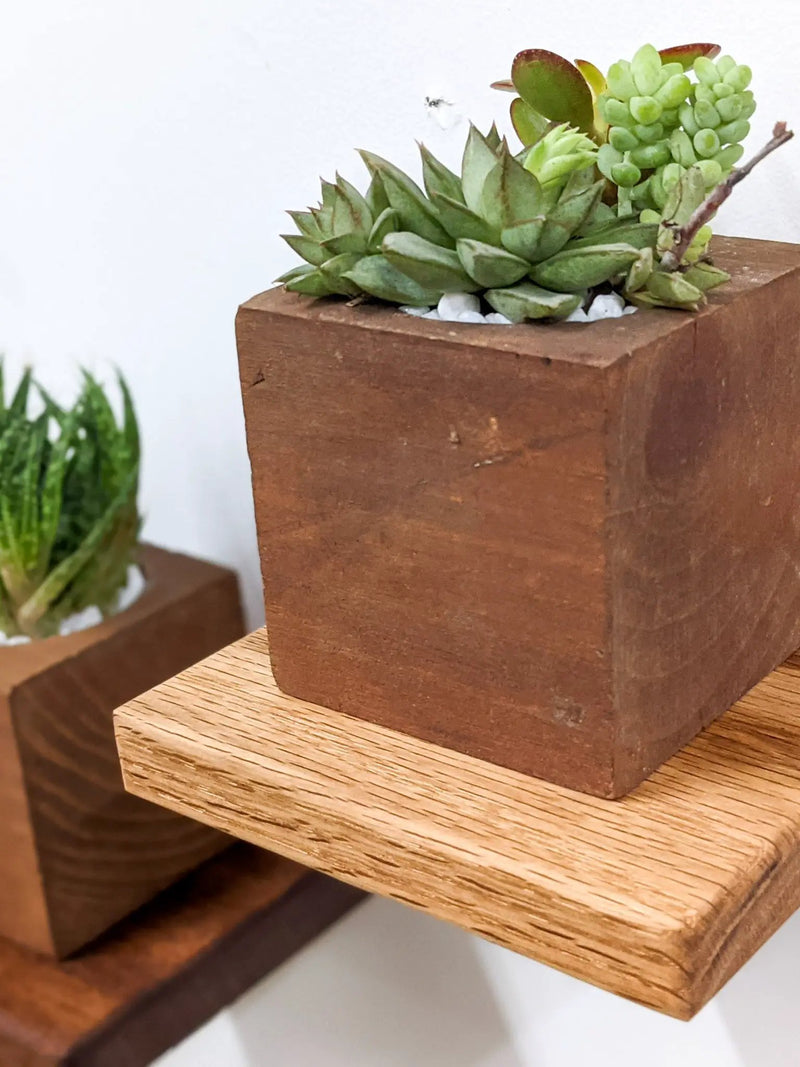 Small Square Display Shelf in Oak by NookWoodworking