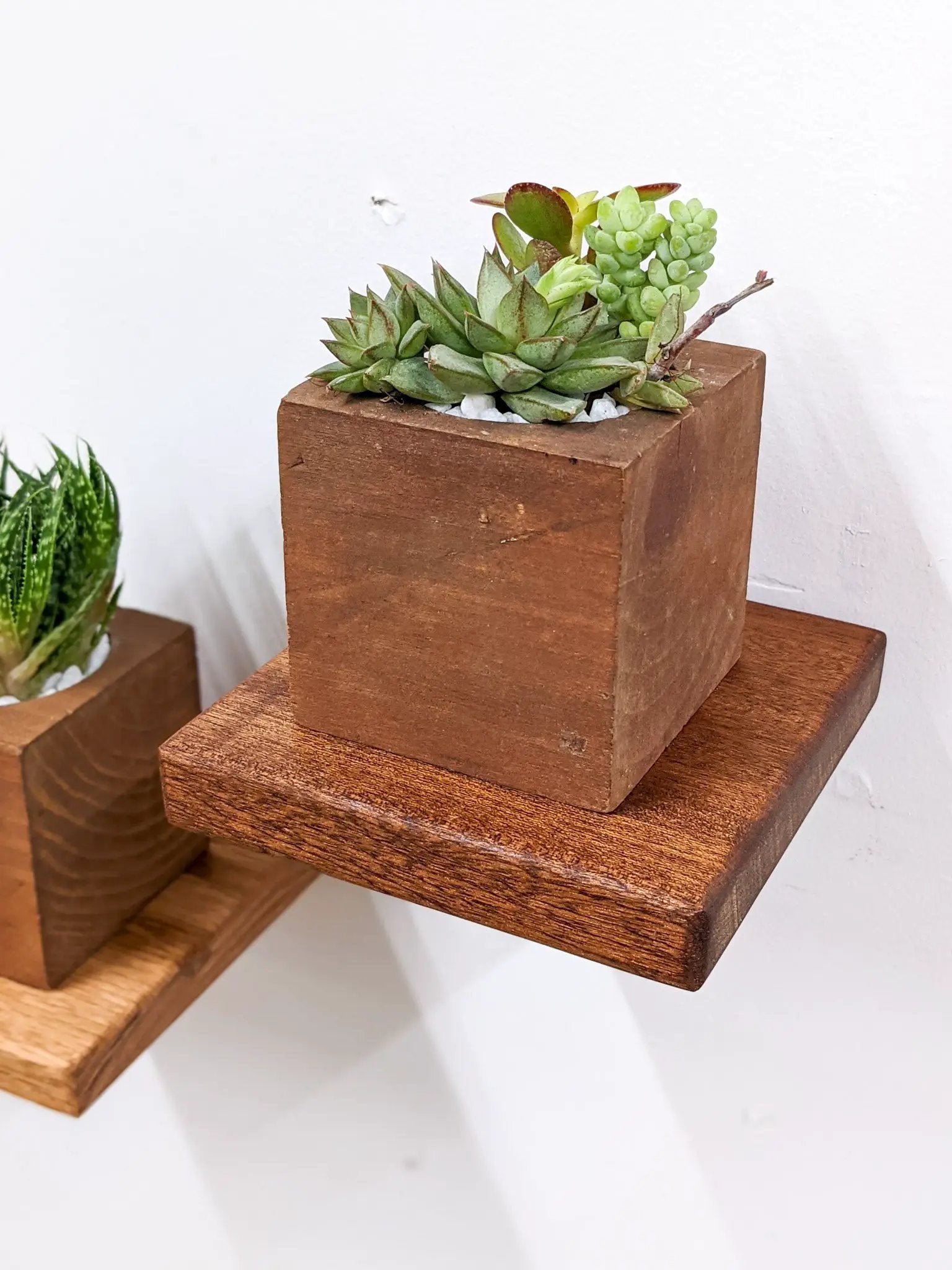 Small Square Display Shelf in Oak by NookWoodworking