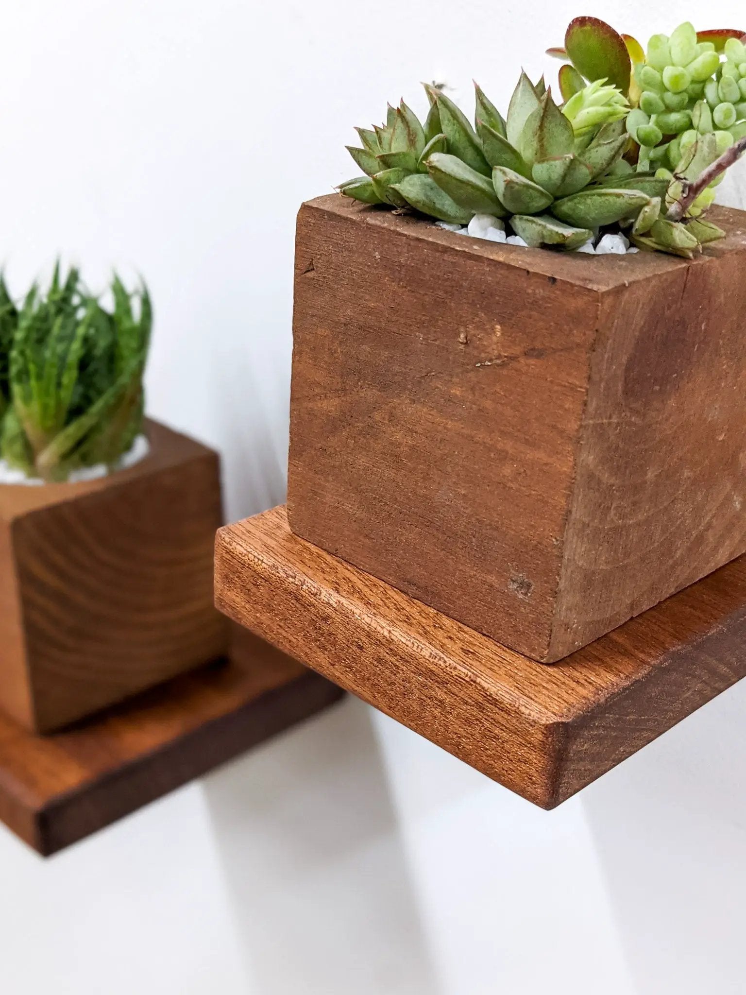 Small Square Display Shelf in Oak by NookWoodworking