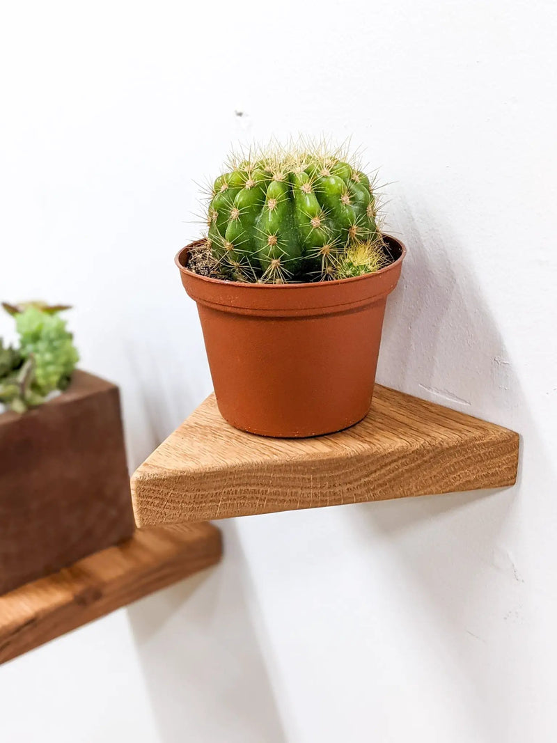 Small Triangle Display Shelf in Oak by NookWoodworking