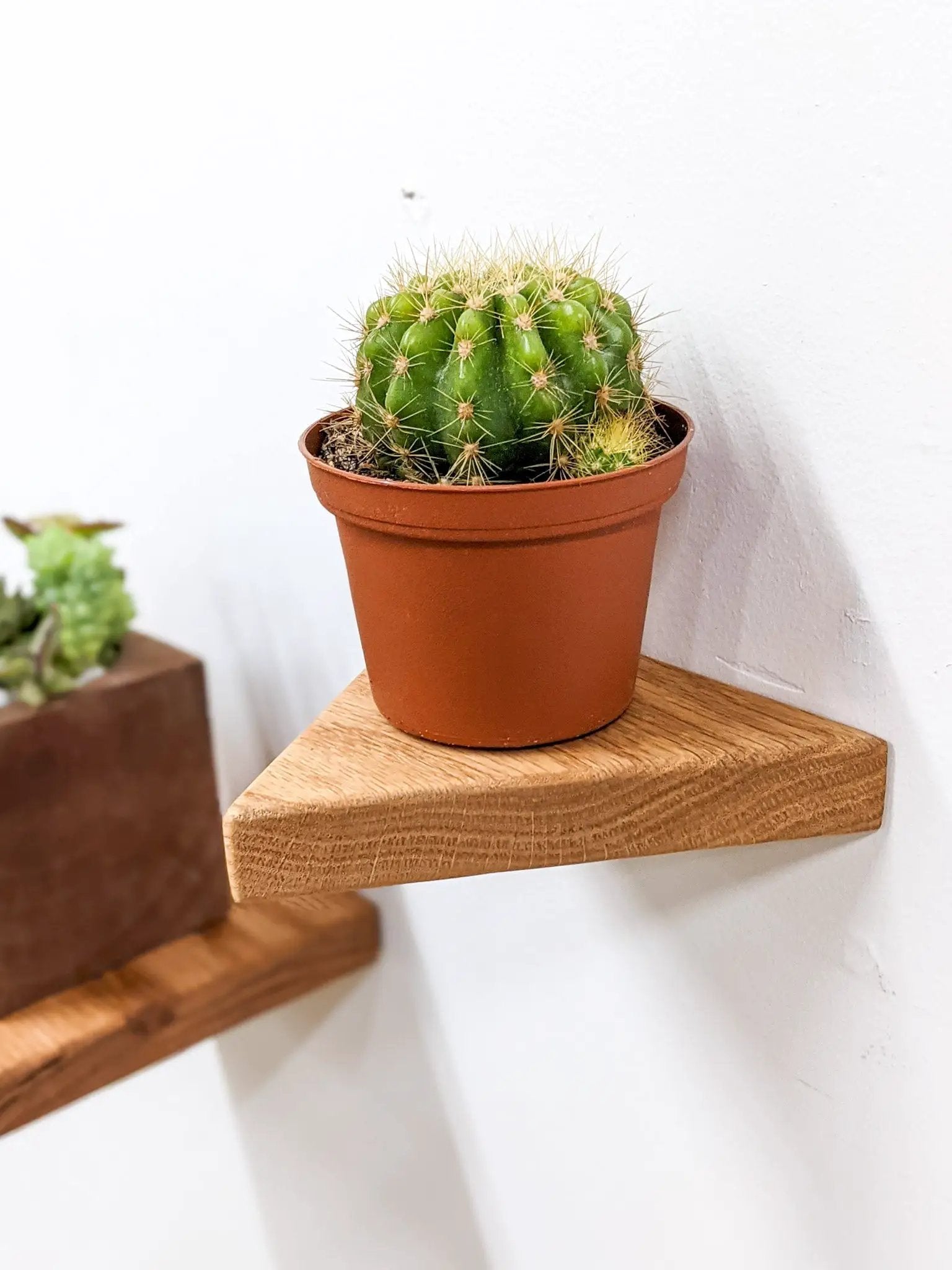Small Floating Shelf Set by NookWoodworking