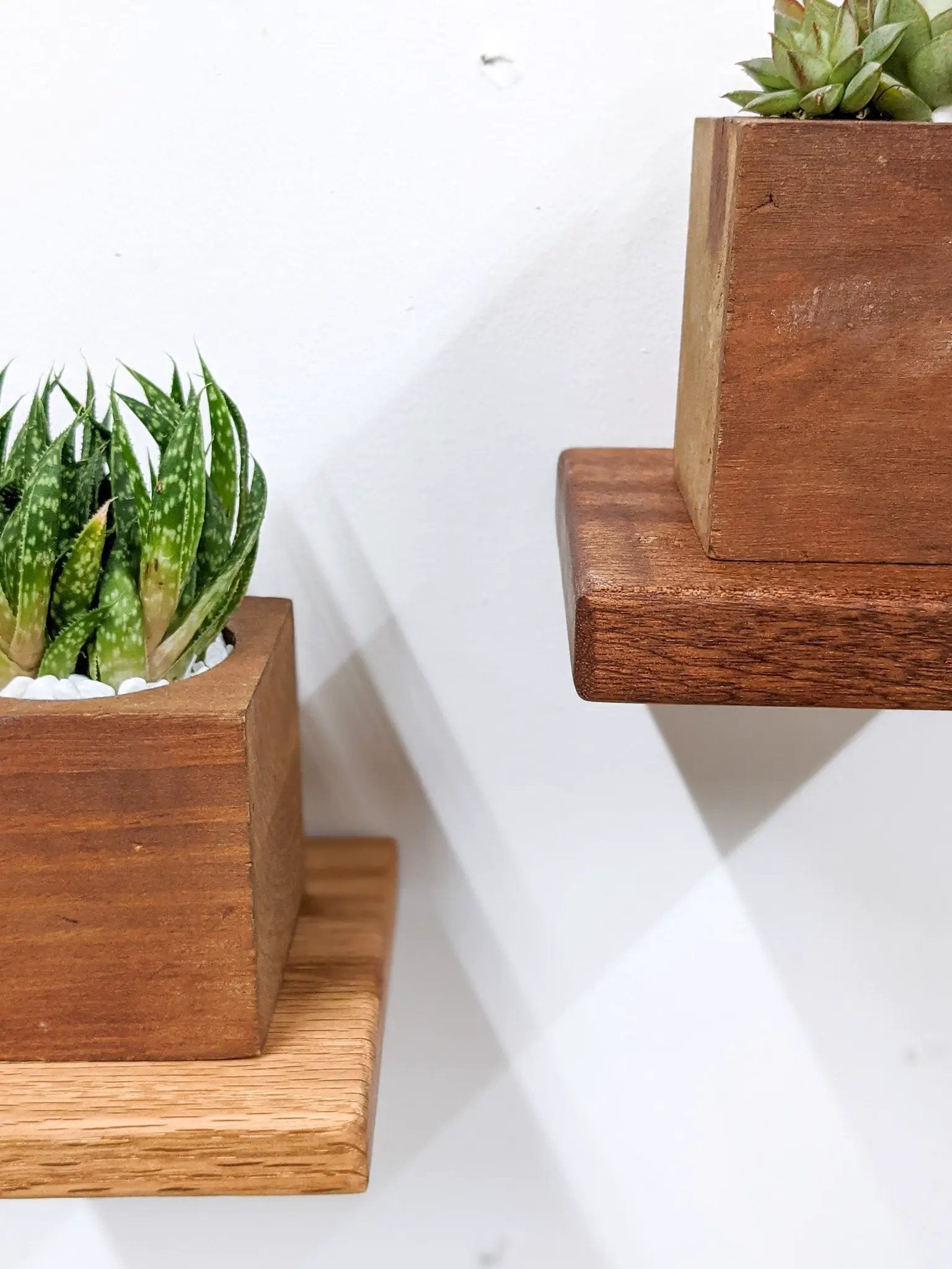 Small Square Display Shelf in Mahogany by NookWoodworking