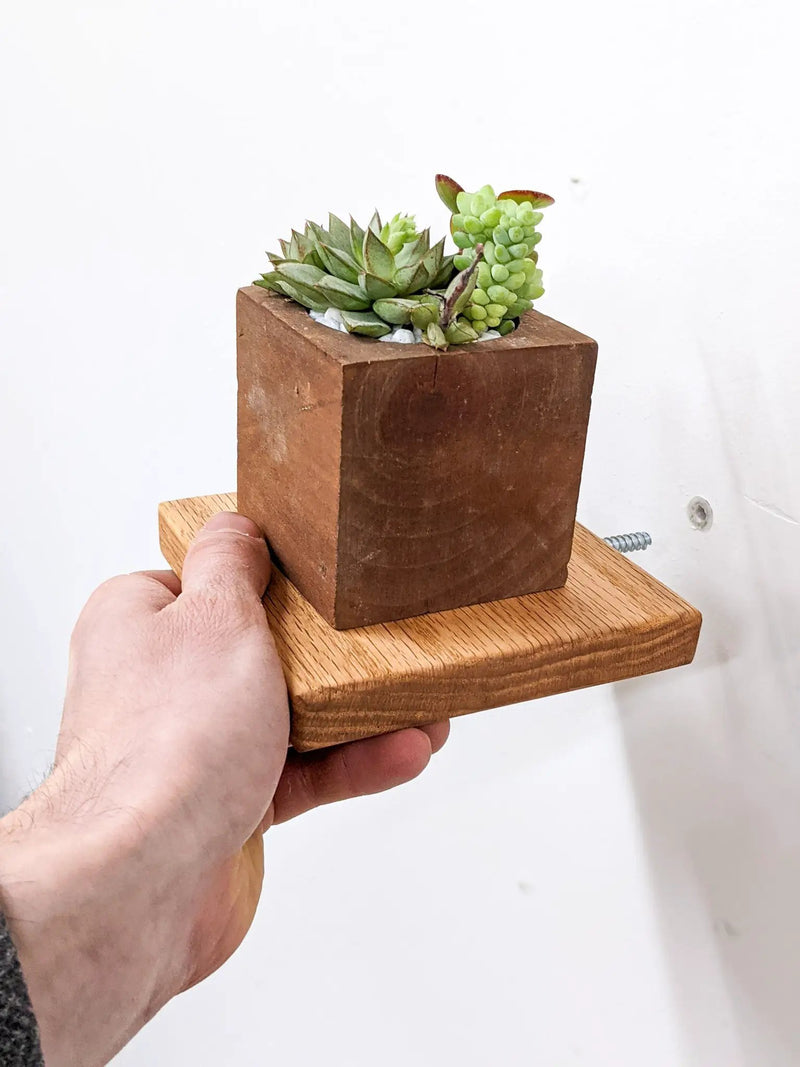 Small Square Display Shelf in Oak by NookWoodworking