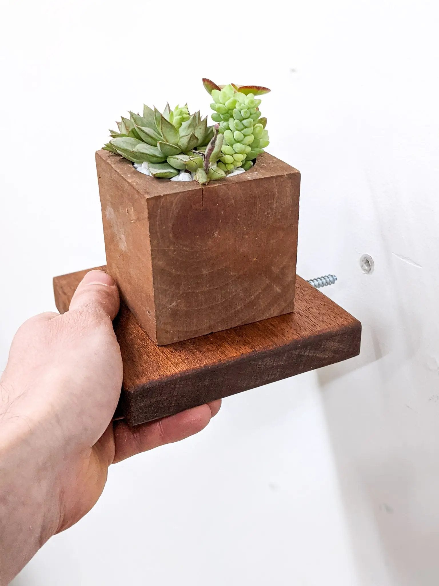 Small Square Display Shelf in Mahogany by NookWoodworking