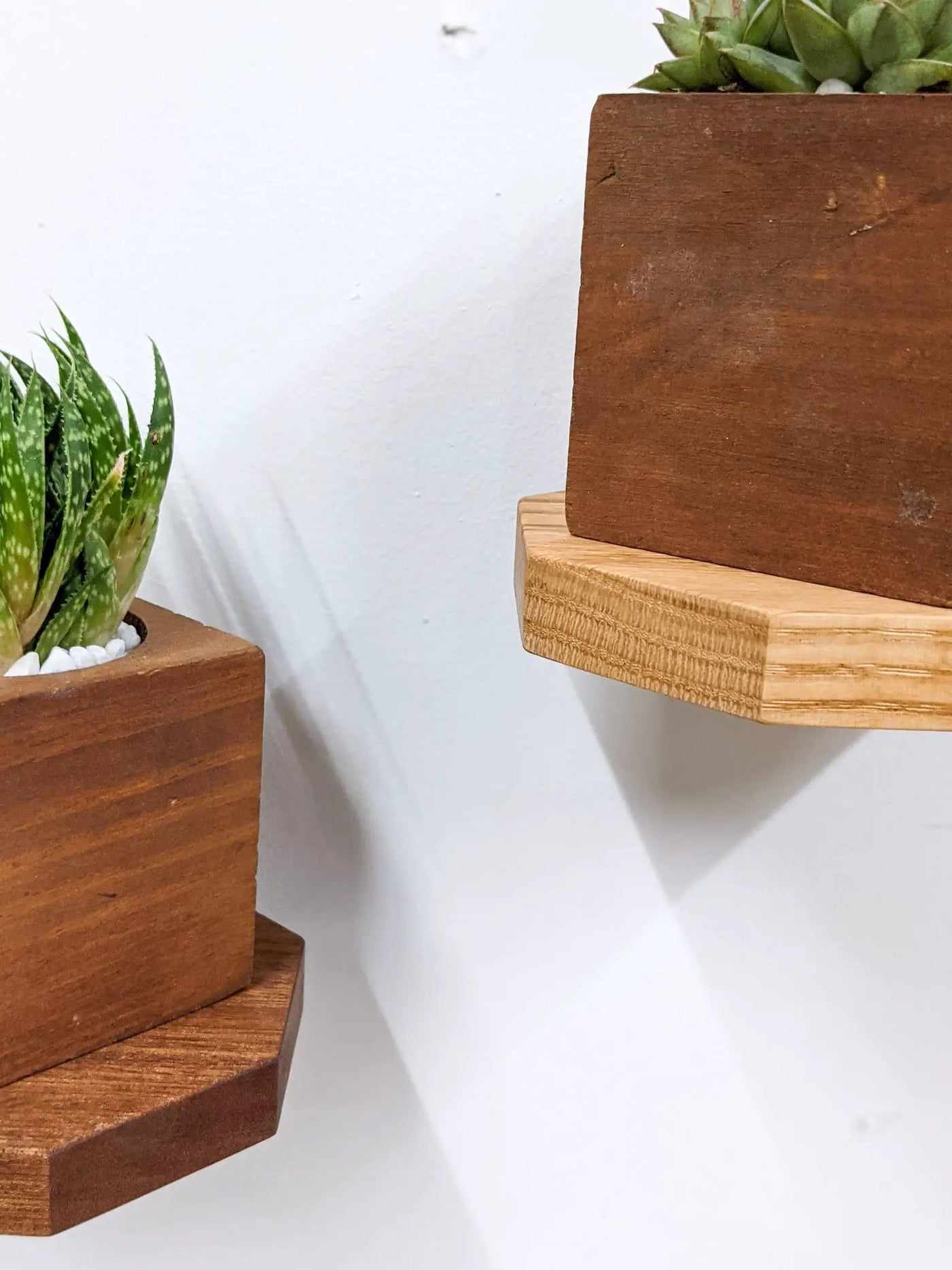 Small Octagon Display Shelf in Oak by NookWoodworking