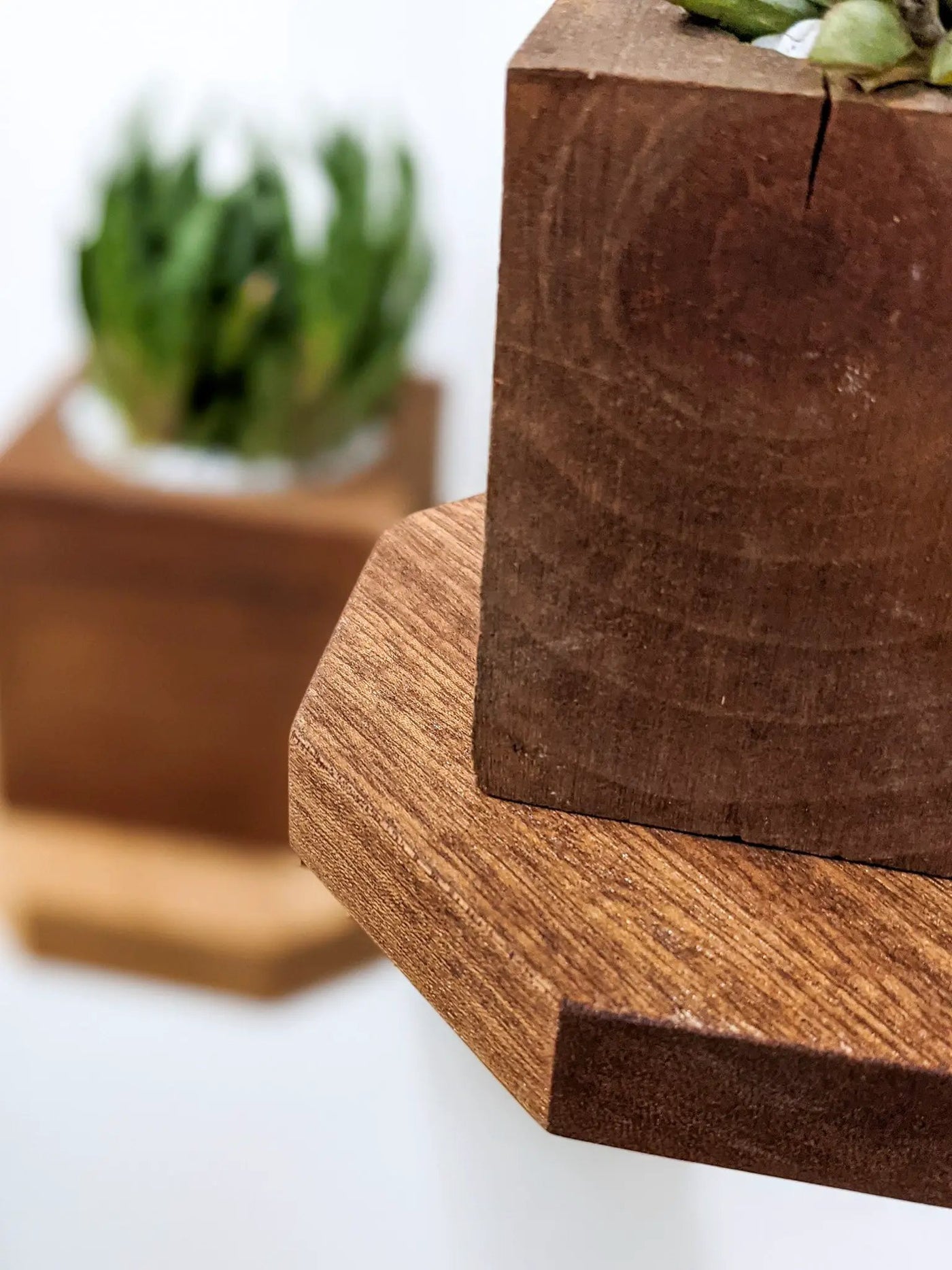 Small Octagon Display Shelf in Mahogany by NookWoodworking