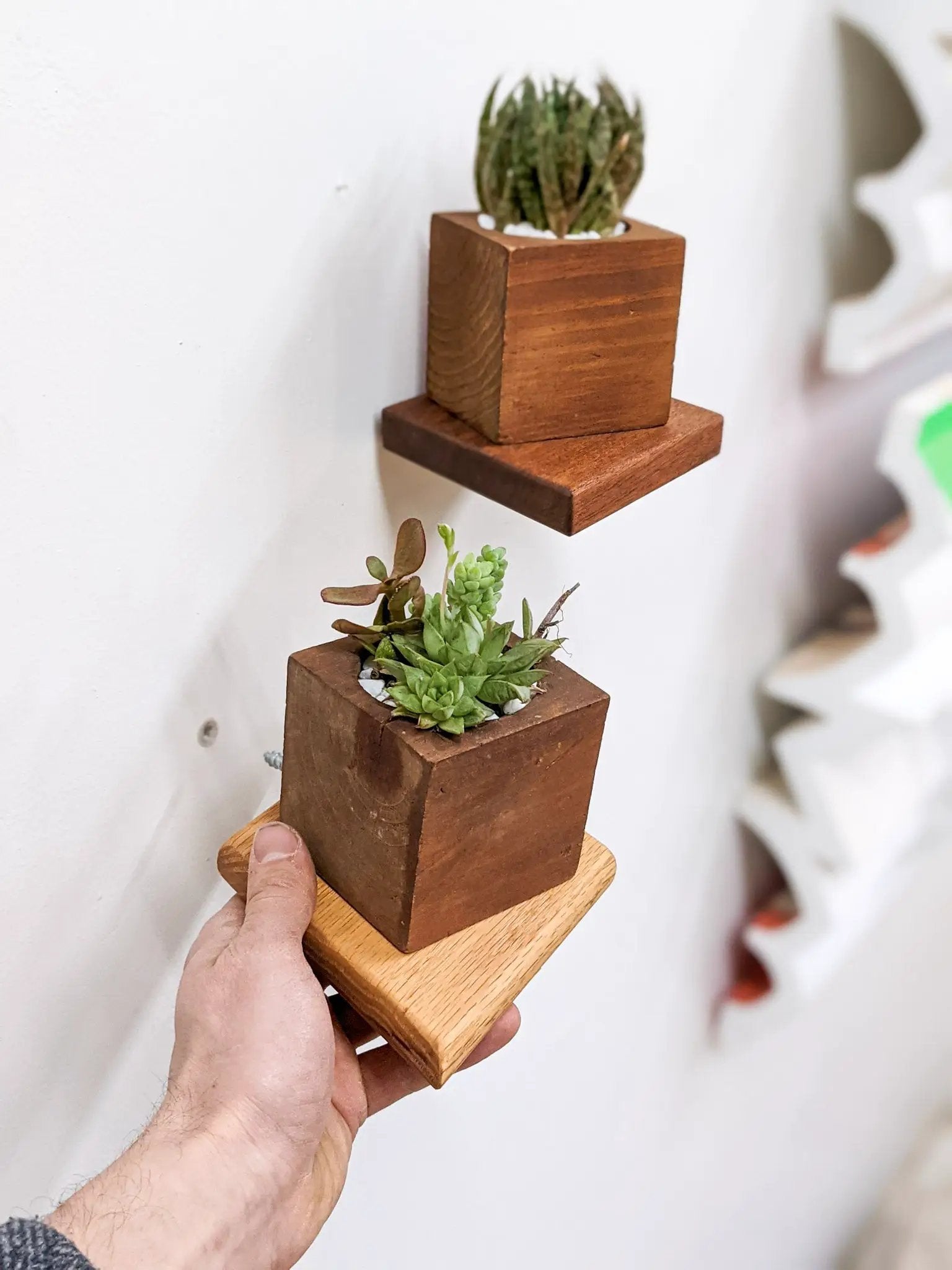 Small Rhombus Display Shelf in Mahogany by NookWoodworking