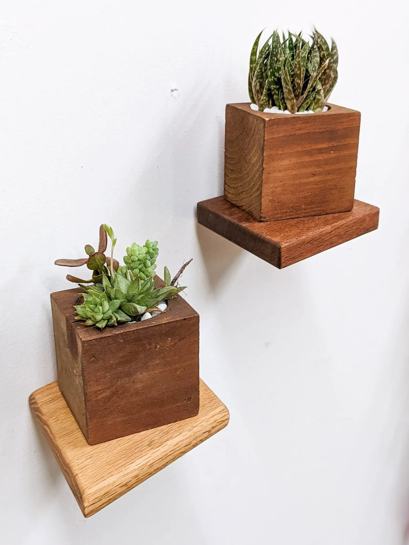 Small Rhombus Display Shelf in Mahogany by NookWoodworking