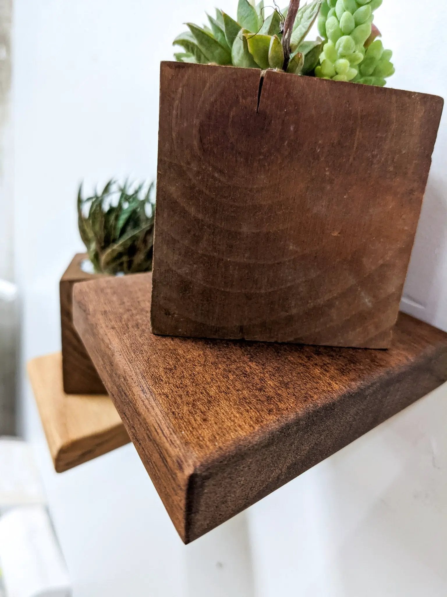 Small Rhombus Display Shelf in Oak by NookWoodworking