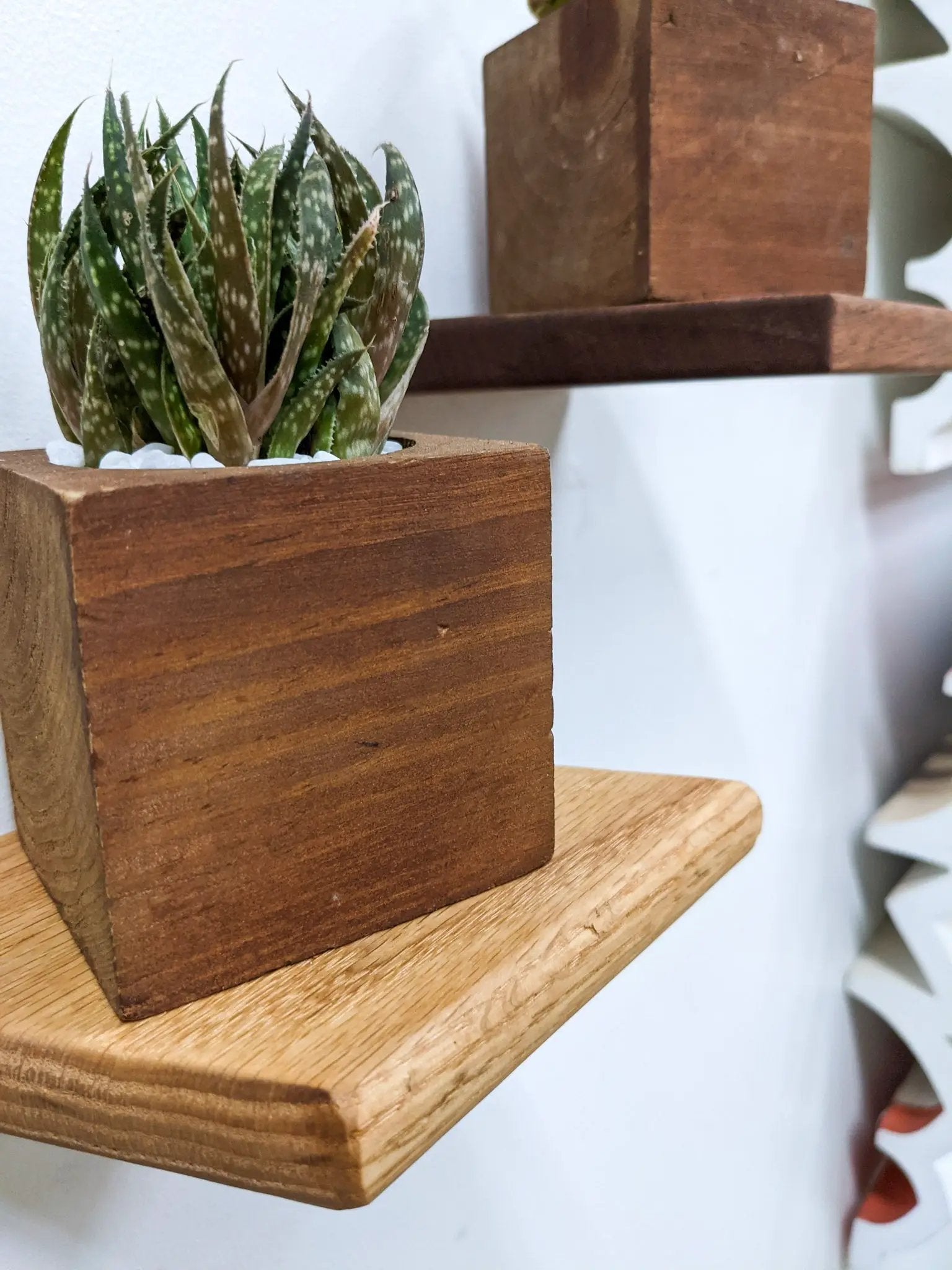 Small Rhombus Display Shelf in Oak by NookWoodworking