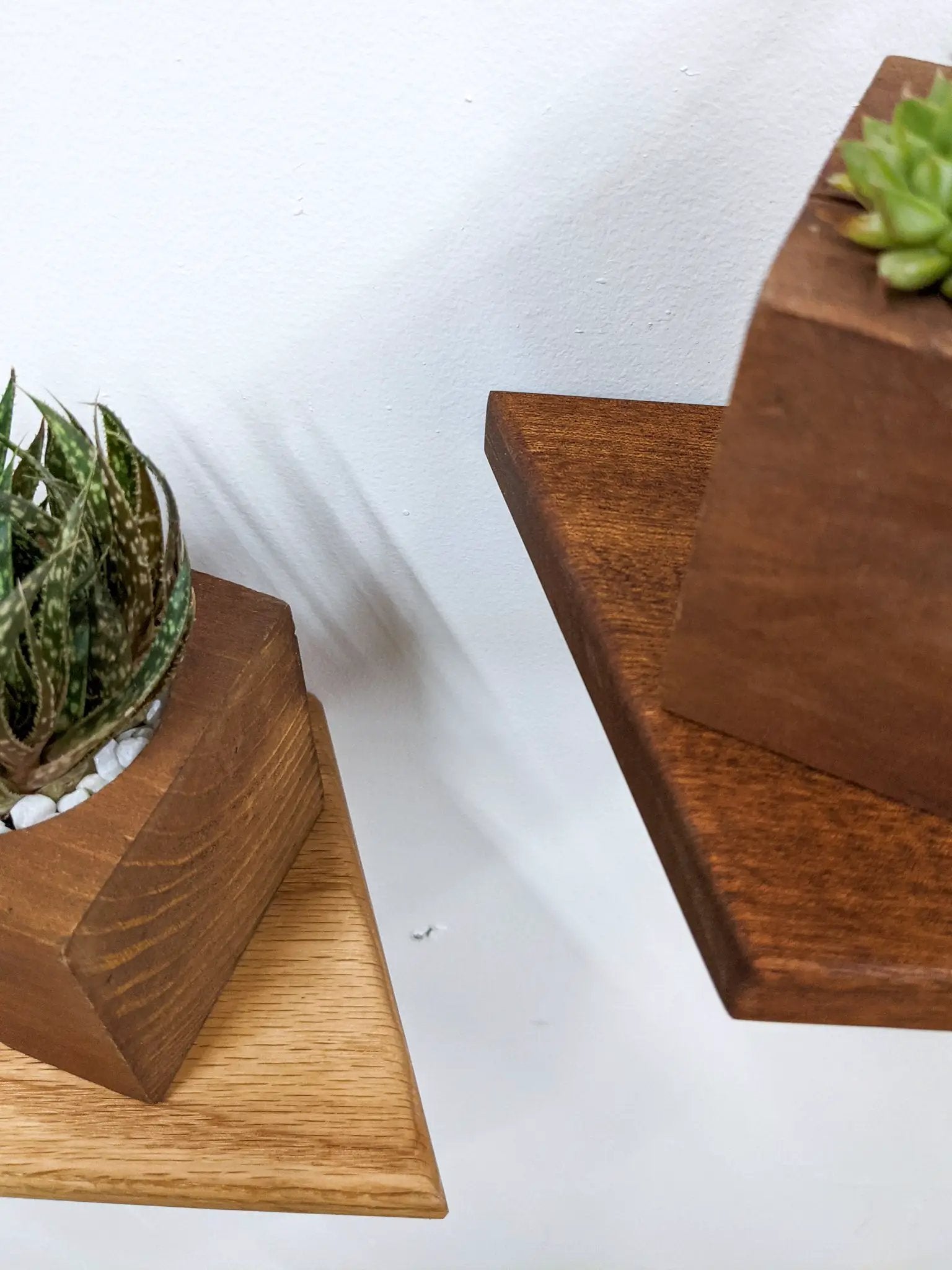 Small Rhombus Display Shelf in Mahogany by NookWoodworking
