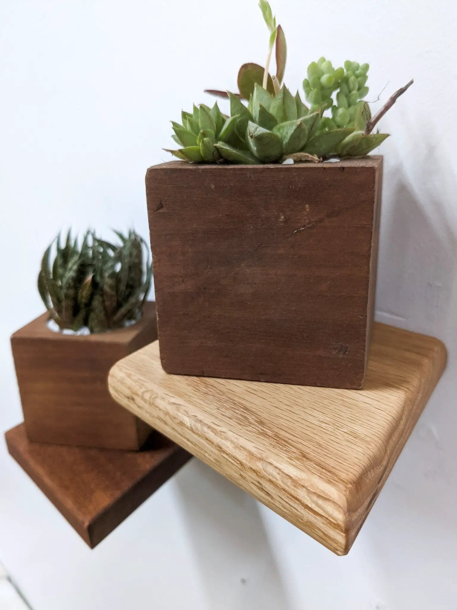 Small Rhombus Display Shelf in Mahogany by NookWoodworking