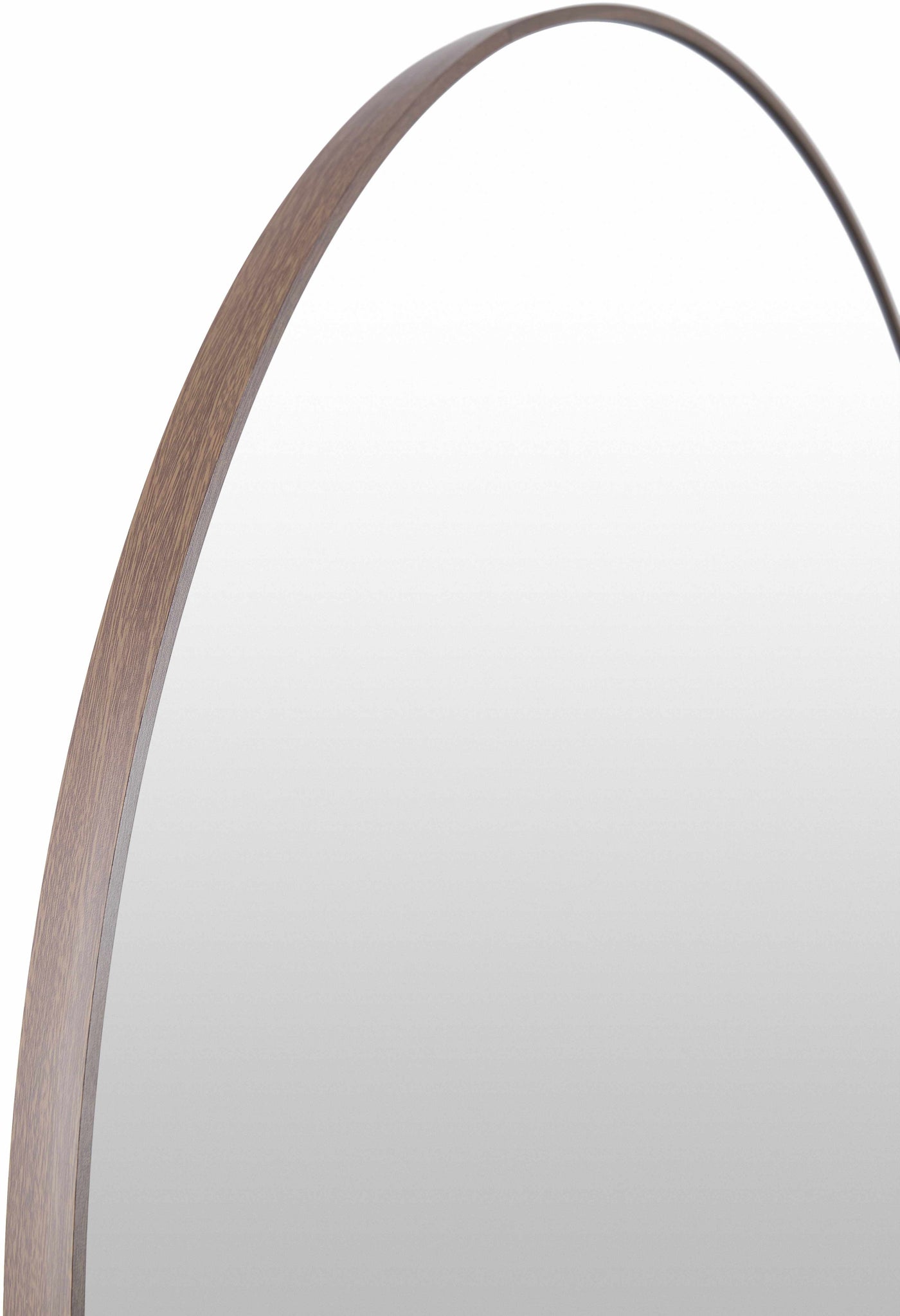 Pontalina Dark Brown Mirror by Boutique Rugs