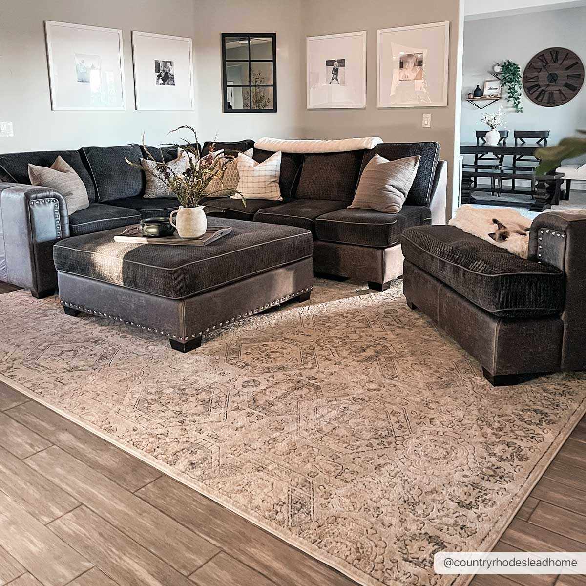Parkerfield Area Rug by Boutique Rugs