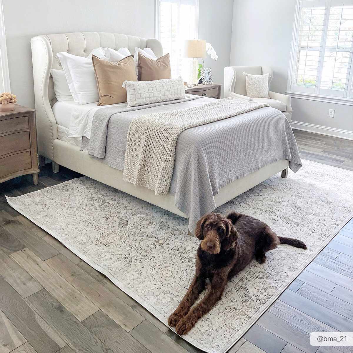 Parkerfield Area Rug by Boutique Rugs