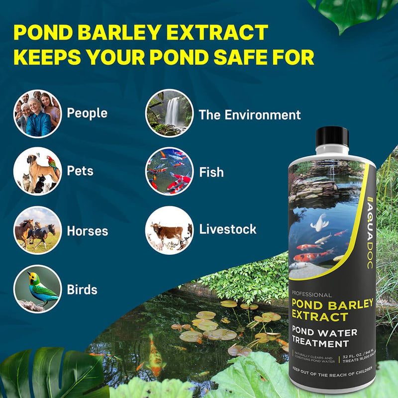 Pond Barley Extract by AquaDoc
