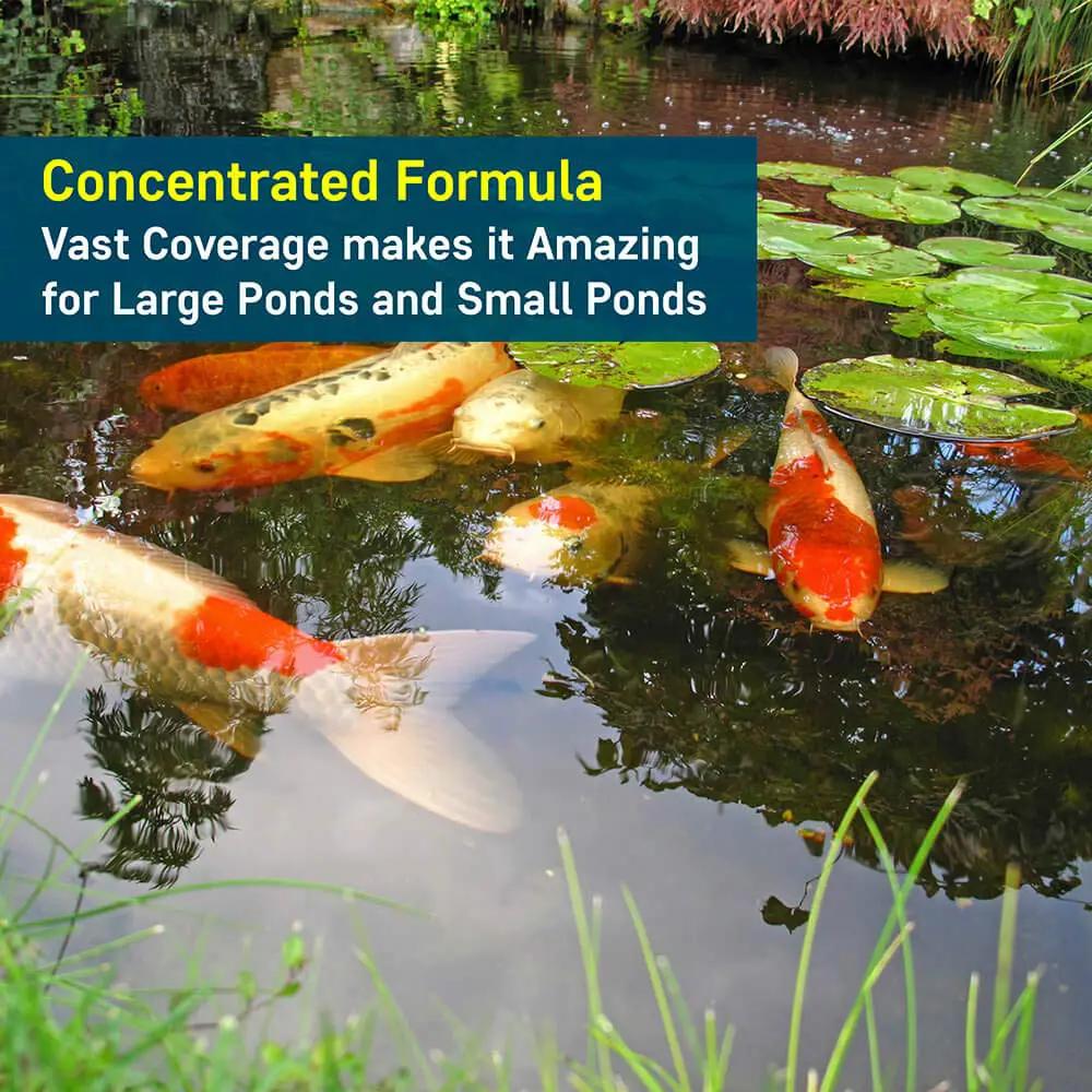 Pond Barley Extract by AquaDoc