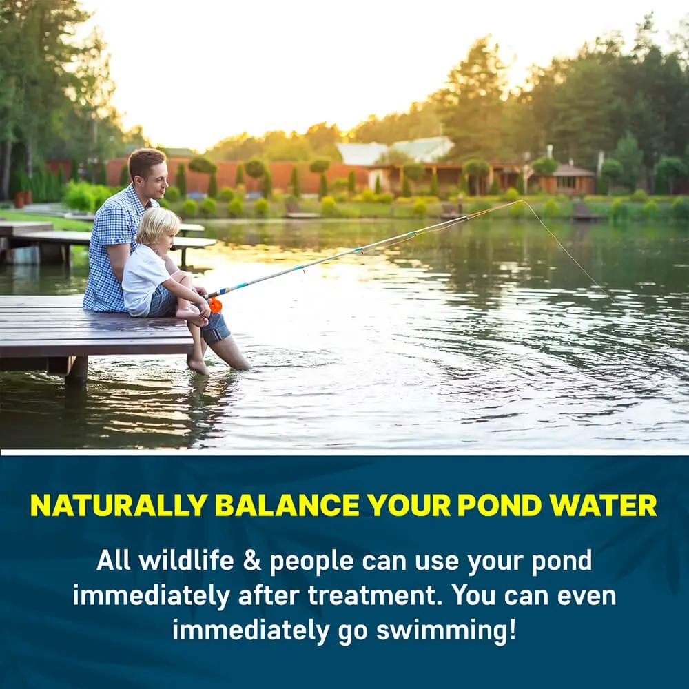 Pond Barley Extract by AquaDoc