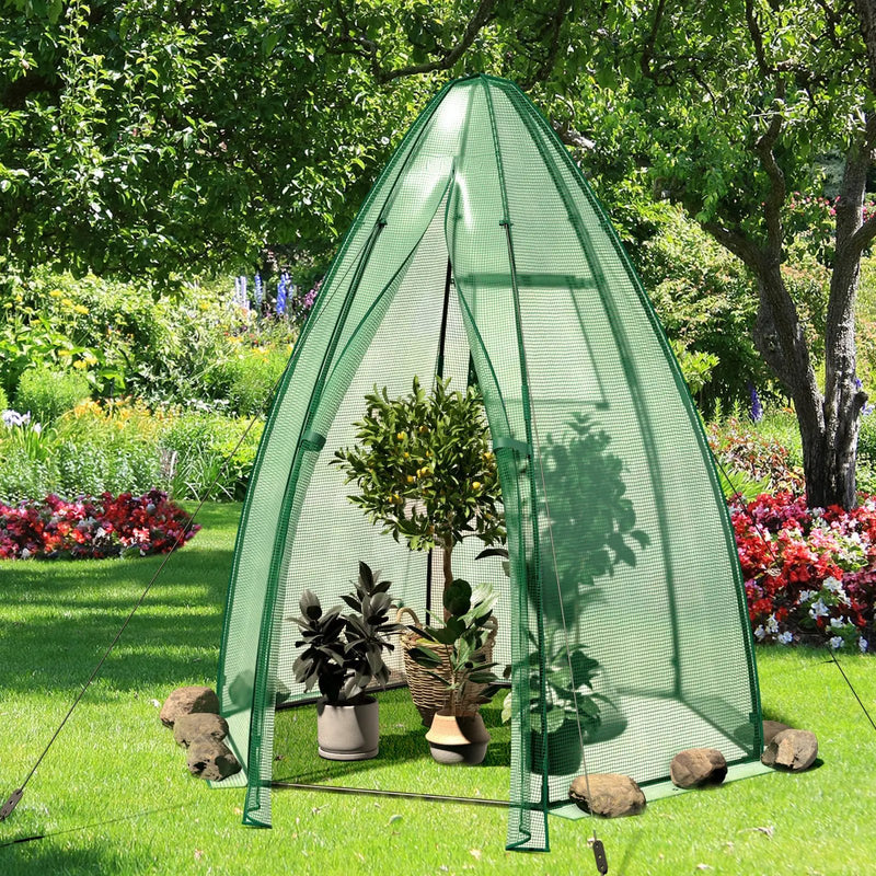 5.5 x 5.5 x 6 Feet Portable Mini Greenhouse with All-Weather PE Cover by DirectDeals