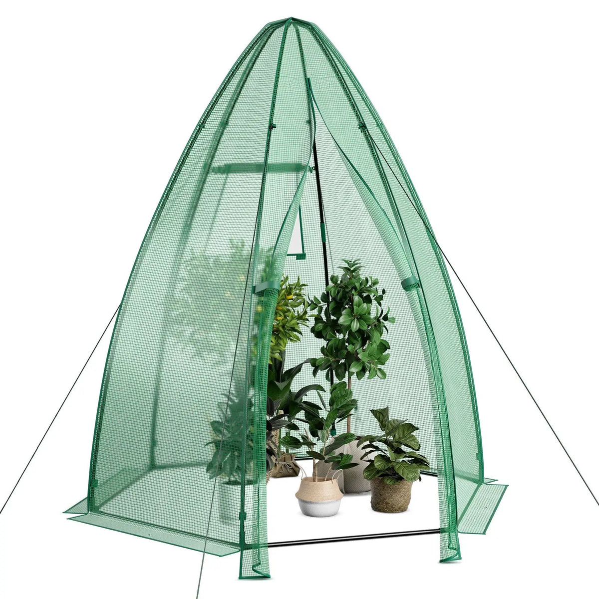 5.5 x 5.5 x 6 Feet Portable Mini Greenhouse with All-Weather PE Cover by DirectDeals